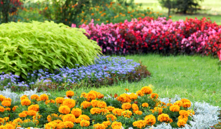 Peyzaj Bakımı Neden Önemli?