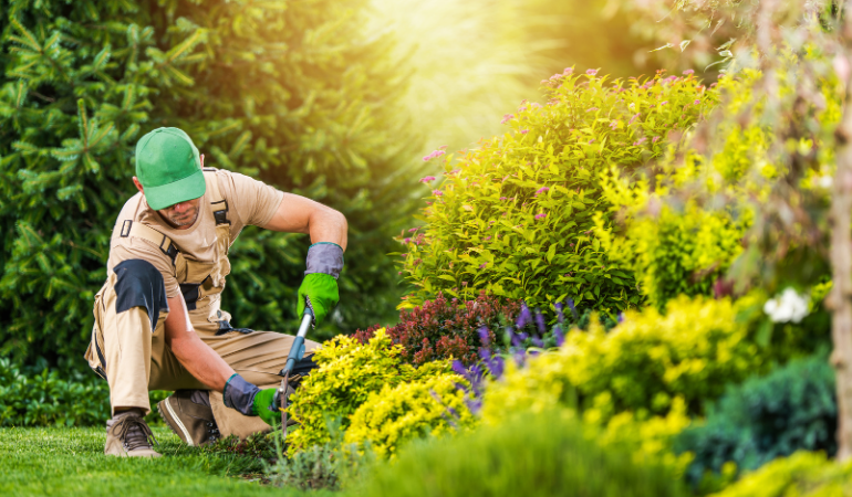 Bahçe Bakımı